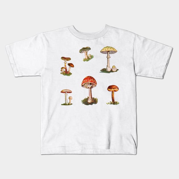 Rome Mushrooms Kids T-Shirt by notsniwart